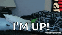 Kermit Morning GIF