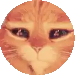 a close up of an orange cat 's face in a circle .