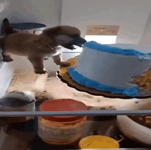 a puppy is standing next to a cake with blue frosting