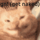 a picture of a cat with the words gn ( get naked ) written above it