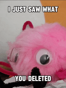 a pink stuffed animal with googly eyes and the words i just saw what you deleted