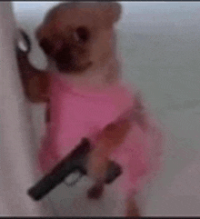 a small dog wearing a pink dress is holding a gun in its mouth .