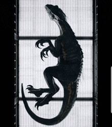 a black lizard is silhouetted against a white cage