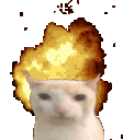 a cat with an explosion in the background is wearing a hat .