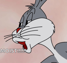 bugs bunny says " moist !!! " in a cartoon