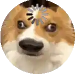 a dog is sitting in a circle with a loading wheel on its head .