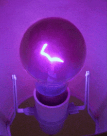 a purple light bulb with the letter l visible on it