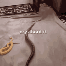 a snake is laying on the floor next to a banana and a blanket .