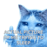 a picture of a cat with ice on its face and the words actual picture of me trying to sleep