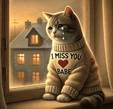 a cat wearing a sweater that says i miss you babe is crying