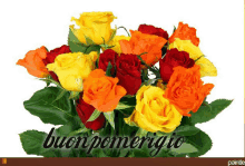 a bunch of red yellow and orange roses with the words buon pomeriggio on the bottom