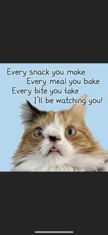 a picture of a cat with the words every snack you make every meal you bake