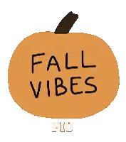 a pumpkin with the words " fall vibes " written on it