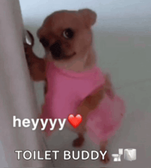 a small dog wearing a pink dress is standing next to a wall and waving .