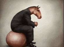 a man in a suit with a horse 's head is sitting on a ball .