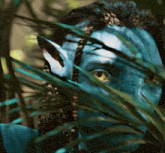 a close up of a person 's face with a blue face paint