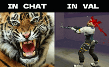 a picture of a tiger next to a picture of a man with a gun and the words in chat in val