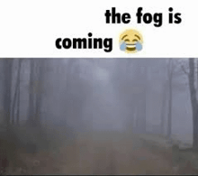 a picture of a foggy forest with a laughing emoji .