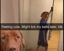 a dog is licking a man 's balls while standing next to a man .