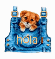 a puppy is sitting in a pocket with the word hola written on it