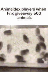 a bunch of animals are crawling on a white surface .