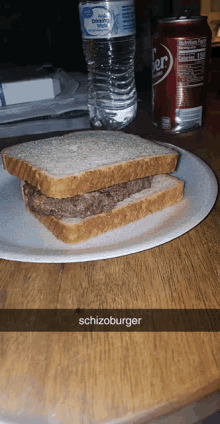 a paper plate with a sandwich and a can of diet coke