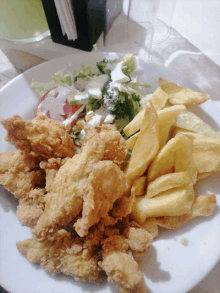 a white plate with fried chicken and french fries on it