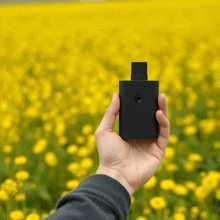 a person is holding a small black object in front of a field of yellow flowers