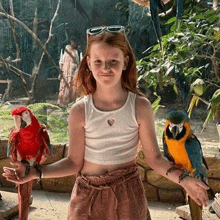 a little girl is holding two parrots in her hands .