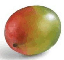 a close up of a mango with a red and green peel on a white background .