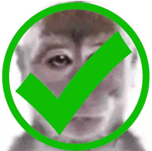 a close up of a man 's face in a green circle with a green check mark .