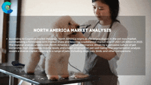 a white dog is being groomed by a woman with the words north america market analysis on the top