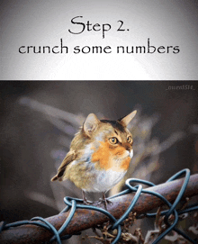 a picture of a bird with a cat 's head and the words step 2 crunch some numbers above it