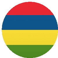 a circle with a red blue yellow and green flag on it