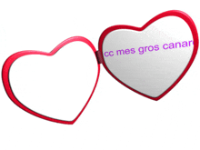 a heart shaped mirror with the words cc mes gros canar written on it