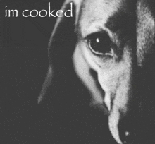 a close up of a dog 's face with the words i 'm cooked below it