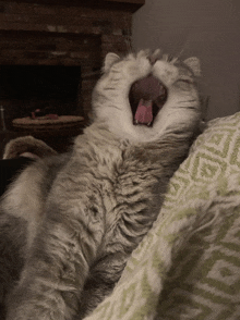 a cat is yawning with its tongue out