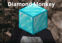 a person with a diamond block on their head with the words diamond monkey above it