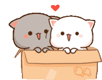 two cats are sitting in a cardboard box with a heart in the background