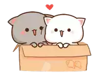 two cats are sitting in a cardboard box with a heart in the background