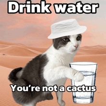 a cat wearing a white hat is holding a glass of water