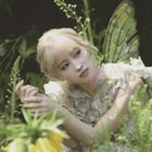 a woman in a white dress with wings is sitting in a field of flowers .