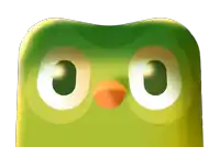 a green bird with a yellow beak and white eyes looks at the camera
