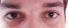 a close up of a man 's eyes and eyebrows .