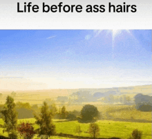 a picture of a field with the words life before ass hairs below it