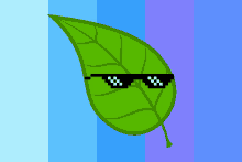 a green leaf wearing sunglasses on a blue and purple striped background