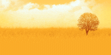 a tree in the middle of a field with a cloudy sky in the background