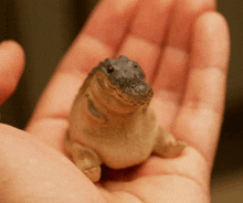 a person is holding a small crocodile figurine in their hand