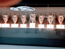 a row of trophies are lined up in front of a wall