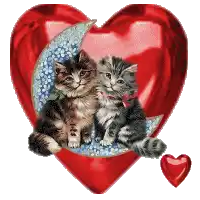 two kittens are sitting on a crescent moon in a red heart